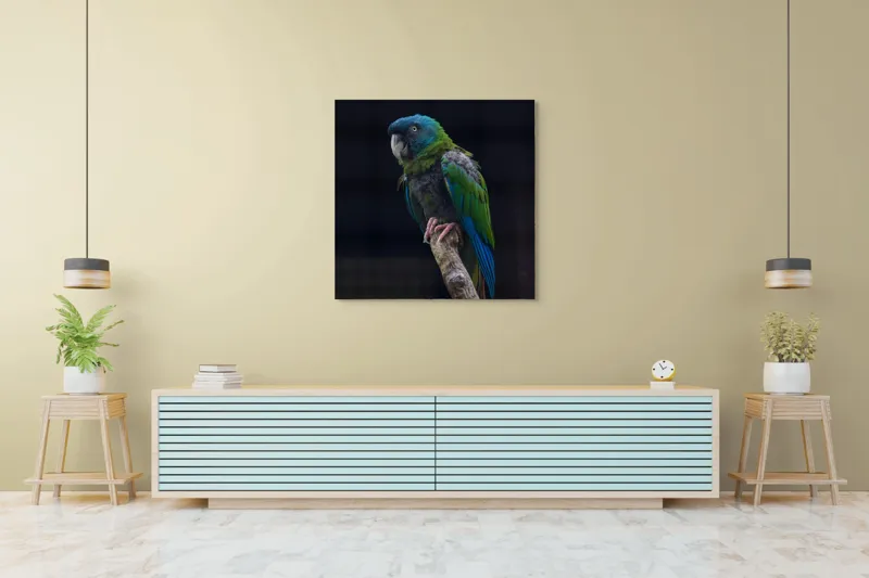 Tablou Canvas, "Papagalul în așteptarea zborului liber", Pasăre, Papagal, Colorat, Ramură, Verde, Albastru, Pene, Cioc, Ochi, Ghemuit, Contrast, Detaliu, Tăcut, Natural., 100 x 100 cm – poza 5