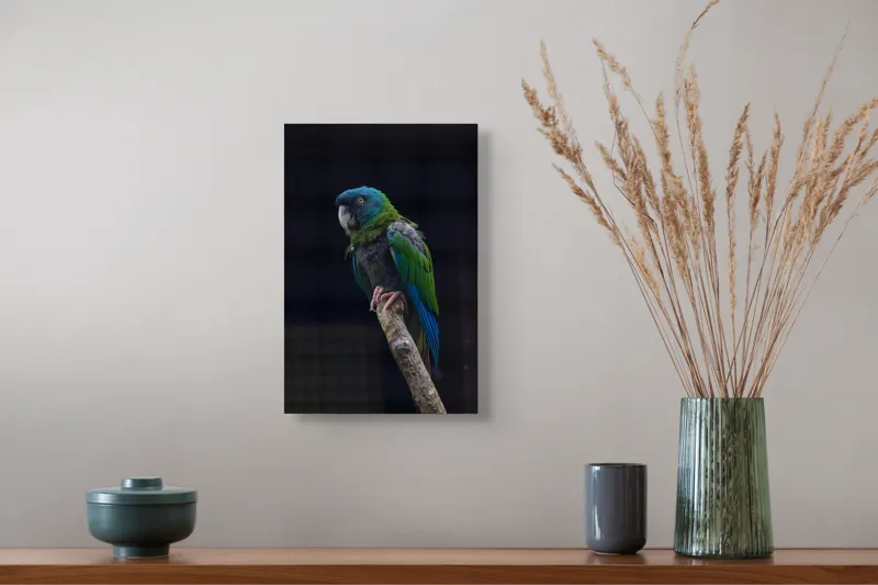 Tablou Canvas, "Papagalul în așteptarea zborului liber", Pasăre, Papagal, Colorat, Ramură, Verde, Albastru, Pene, Cioc, Ochi, Ghemuit, Contrast, Detaliu, Tăcut, Natural., 26 x 39 cm – poza 5