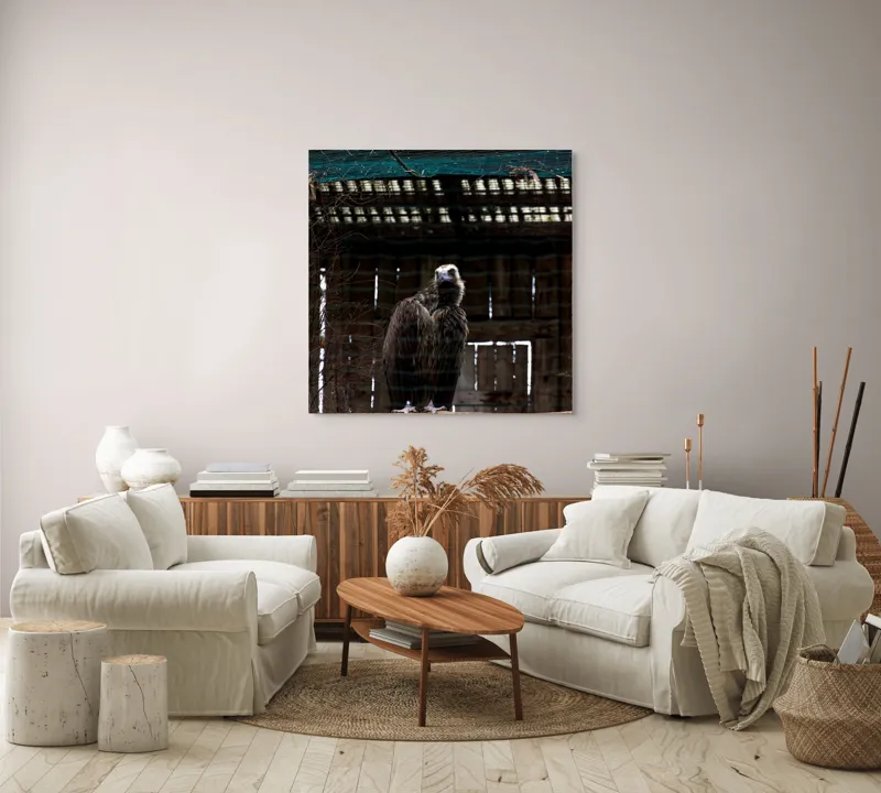 Tablou Canvas, "Vulturul veghează din colivie", Vultur, Construcție, Cușcă, Plasă, Lemn, Ramură, Umbră, Pană, Privire, 100 x 100 cm – poza 3