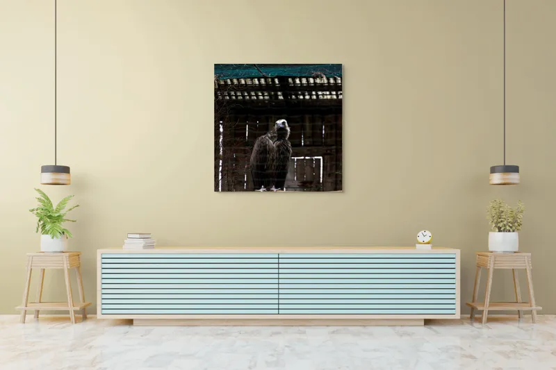 Tablou Canvas, "Vulturul veghează din colivie", Vultur, Construcție, Cușcă, Plasă, Lemn, Ramură, Umbră, Pană, Privire, 100 x 100 cm – poza 5