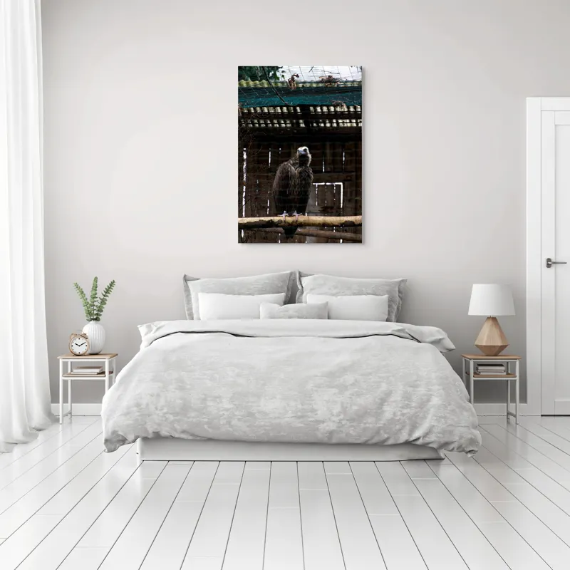Tablou Canvas, "Vulturul veghează din colivie", Vultur, Construcție, Cușcă, Plasă, Lemn, Ramură, Umbră, Pană, Privire, 70 x 100 cm – poza 3