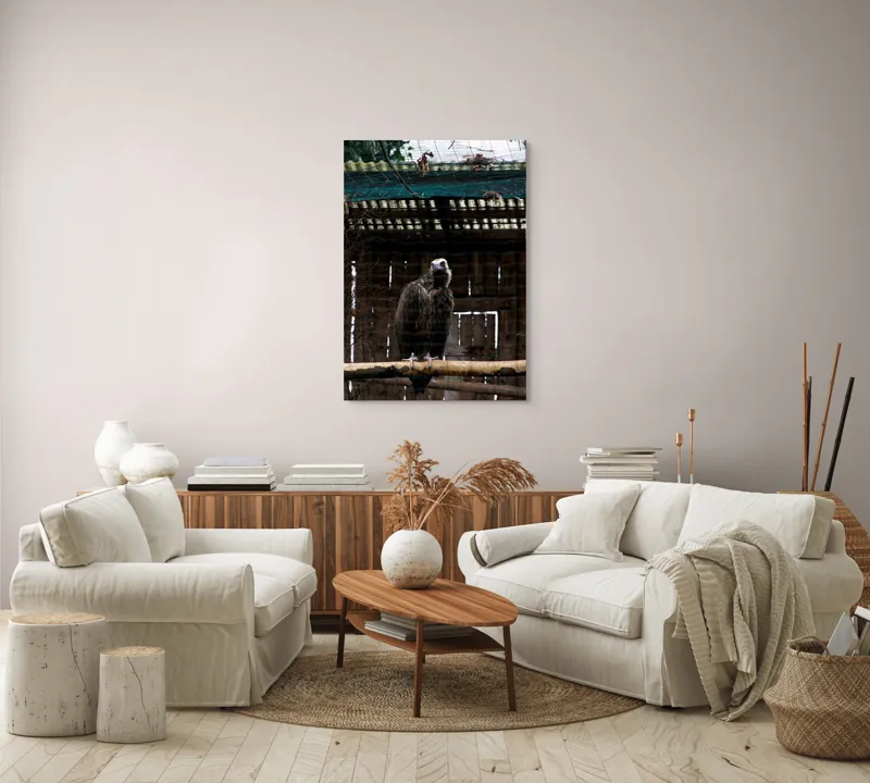 Tablou Canvas, "Vulturul veghează din colivie", Vultur, Construcție, Cușcă, Plasă, Lemn, Ramură, Umbră, Pană, Privire, 70 x 100 cm – poza 4