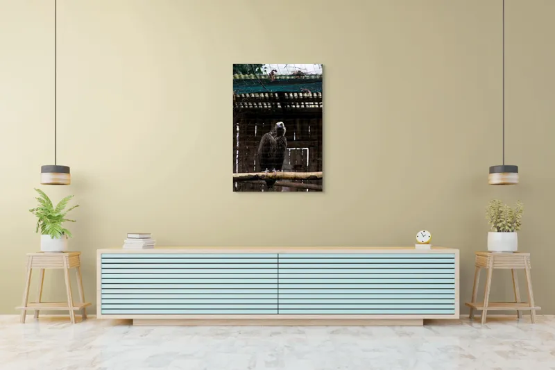 Tablou Canvas, "Vulturul veghează din colivie", Vultur, Construcție, Cușcă, Plasă, Lemn, Ramură, Umbră, Pană, Privire, 70 x 100 cm – poza 5