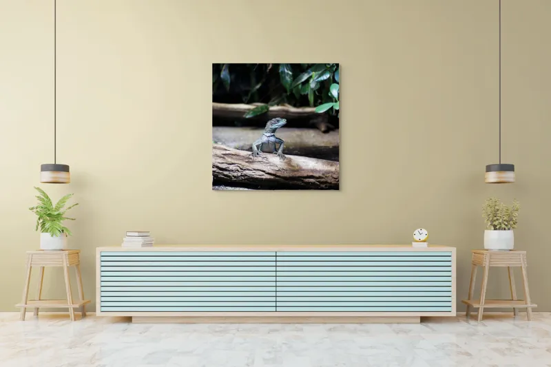Tablou Canvas, "Sopârla stăpână pe teritoriul ei", Șopârlă, Ramură, Frunze, Natură, Tropical, Verde, Habitat, Scalare, 100 x 100 cm – poza 5