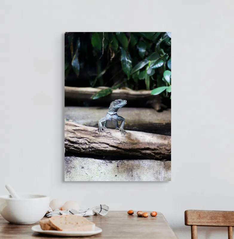 Tablou Canvas, "Sopârla stăpână pe teritoriul ei", Șopârlă, Ramură, Frunze, Natură, Tropical, Verde, Habitat, Scalare, 50 x 70 cm – poza 3