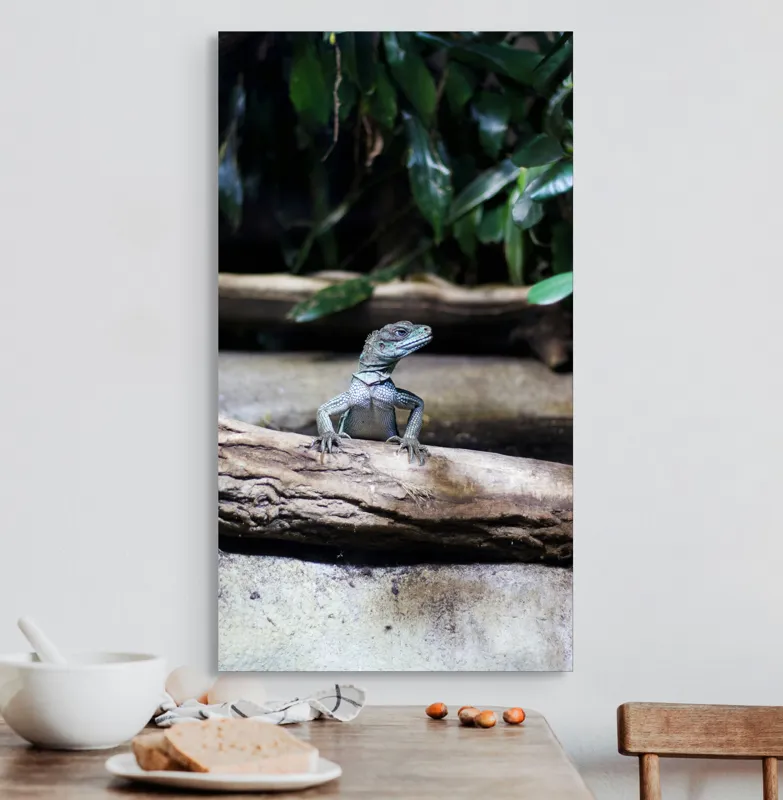 Tablou Canvas, "Sopârla stăpână pe teritoriul ei", Șopârlă, Ramură, Frunze, Natură, Tropical, Verde, Habitat, Scalare, 50 x 90 cm – poza 3