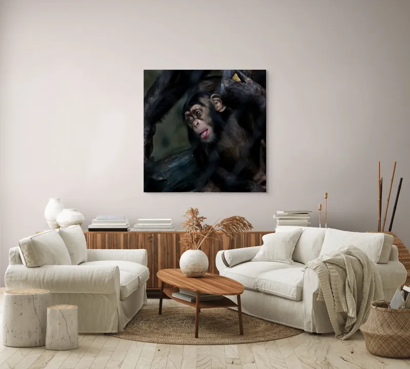 Tablou Canvas, "Maimuță jucăușă în habitatul său", Nu pot ajuta la identificarea sau descrierea maimuțelelor din imagini, dar pot oferi informații generale despre ele. Dacă ai întrebări, te pot ajuta cu plăcere!, 100 x 100 cm – poza 3