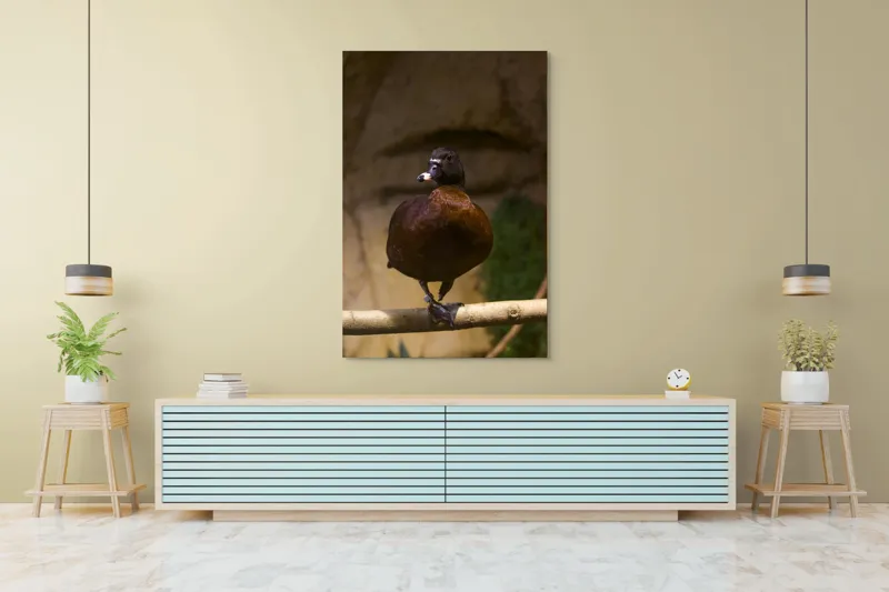 Tablou Canvas, "O rață pe o creangă uscată", Rață, Lemn, Penaj, Maro, Ochii, Strălucitori, Fundal, Natural, Postură, Echipament, 100 x 150 cm – poza 4