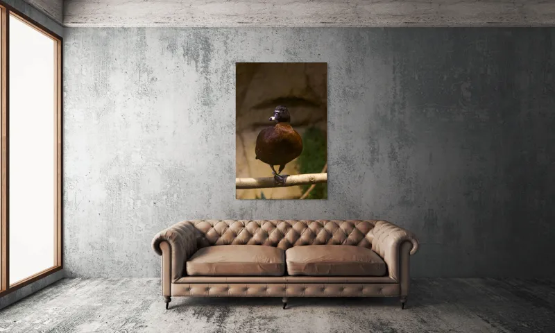 Tablou Canvas, "O rață pe o creangă uscată", Rață, Lemn, Penaj, Maro, Ochii, Strălucitori, Fundal, Natural, Postură, Echipament, 100 x 150 cm – poza 6
