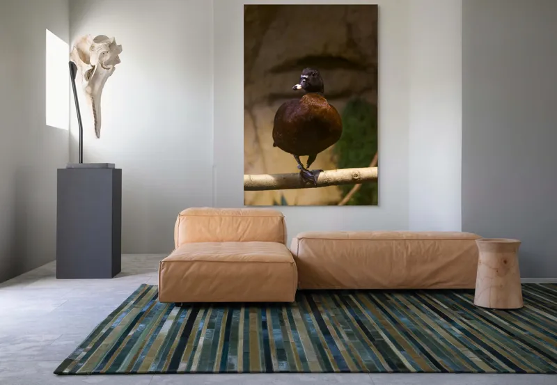 Tablou Canvas, "O rață pe o creangă uscată", Rață, Lemn, Penaj, Maro, Ochii, Strălucitori, Fundal, Natural, Postură, Echipament, 100 x 150 cm – poza 7