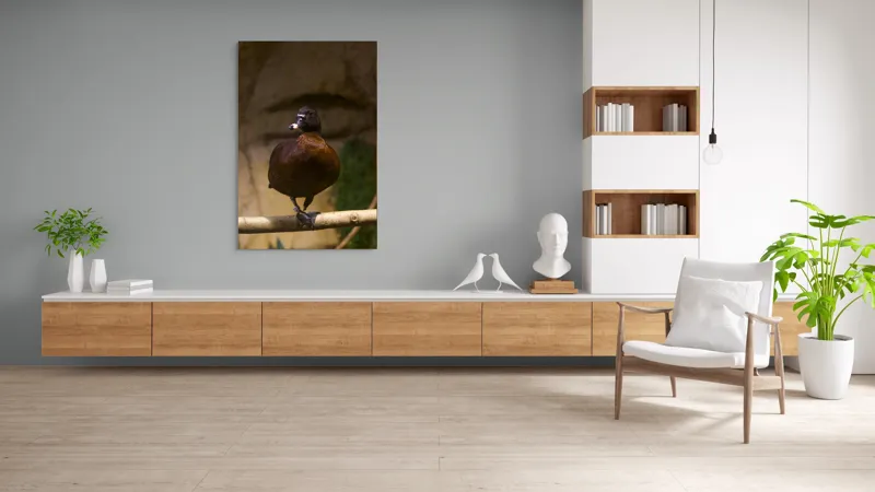 Tablou Canvas, "O rață pe o creangă uscată", Rață, Lemn, Penaj, Maro, Ochii, Strălucitori, Fundal, Natural, Postură, Echipament, 100 x 150 cm – poza 8