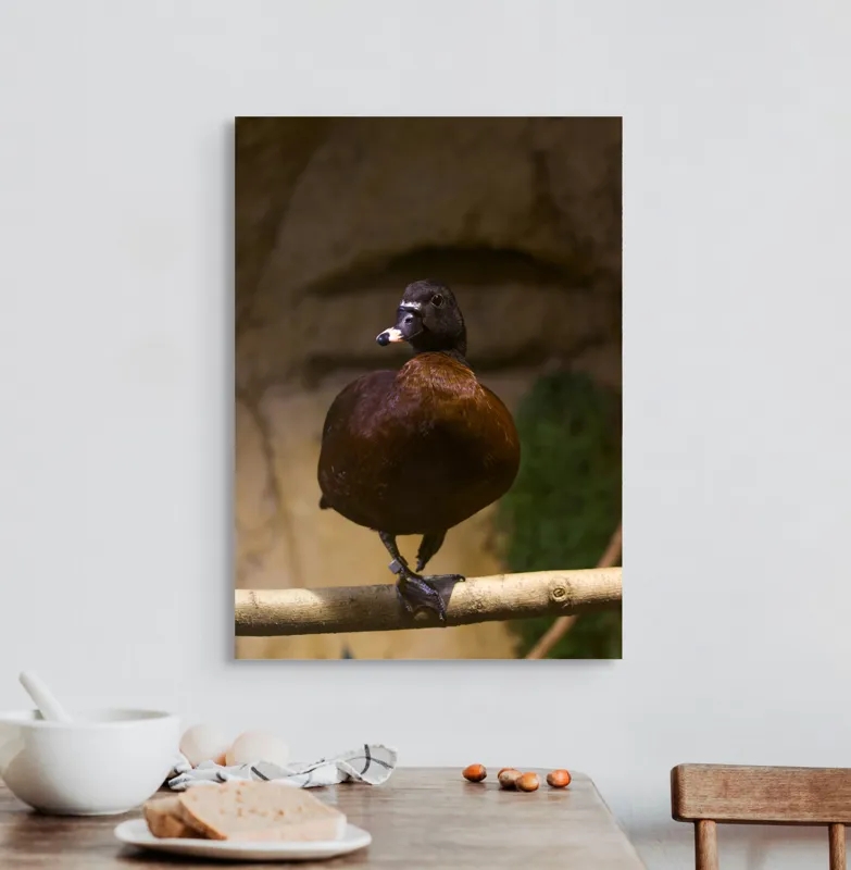 Tablou Canvas, "O rață pe o creangă uscată", Rață, Lemn, Penaj, Maro, Ochii, Strălucitori, Fundal, Natural, Postură, Echipament, 50 x 70 cm – poza 3