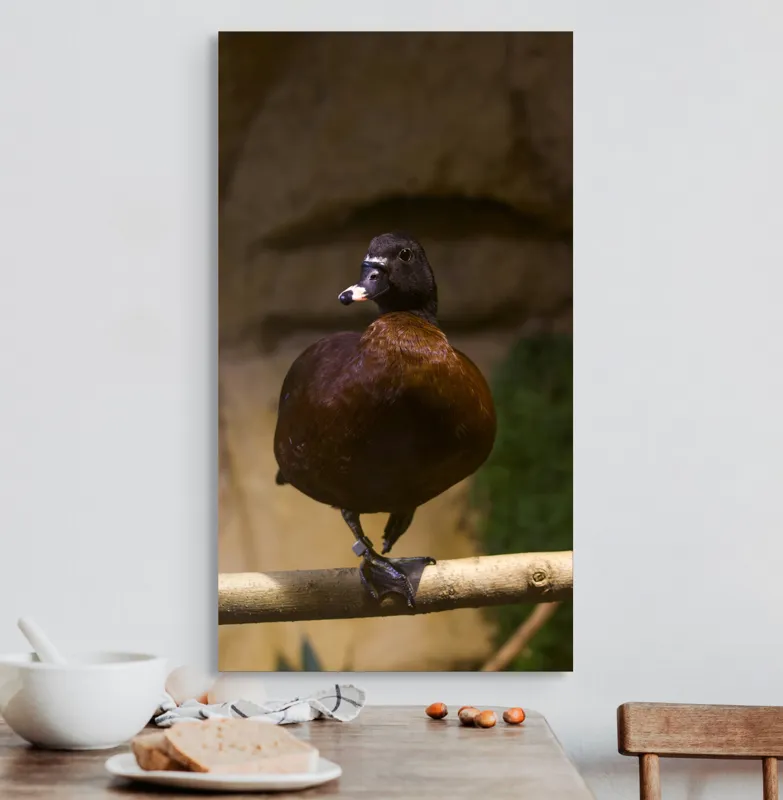 Tablou Canvas, "O rață pe o creangă uscată", Rață, Lemn, Penaj, Maro, Ochii, Strălucitori, Fundal, Natural, Postură, Echipament, 50 x 90 cm – poza 3