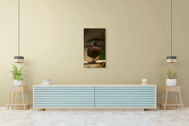 Tablou Canvas, "O rață pe o creangă uscată", Rață, Lemn, Penaj, Maro, Ochii, Strălucitori, Fundal, Natural, Postură, Echipament, 50 x 90 cm – poza 6