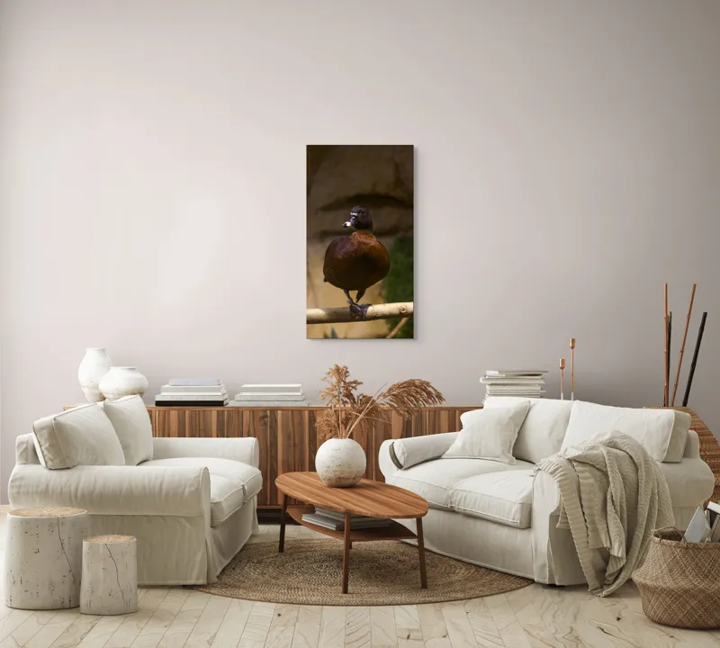 Tablou Canvas, "O rață pe o creangă uscată", Rață, Lemn, Penaj, Maro, Ochii, Strălucitori, Fundal, Natural, Postură, Echipament, 50 x 90 cm – poza 7