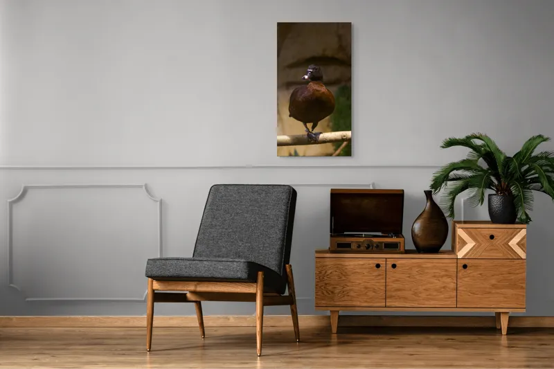 Tablou Canvas, "O rață pe o creangă uscată", Rață, Lemn, Penaj, Maro, Ochii, Strălucitori, Fundal, Natural, Postură, Echipament, 50 x 90 cm – poza 8