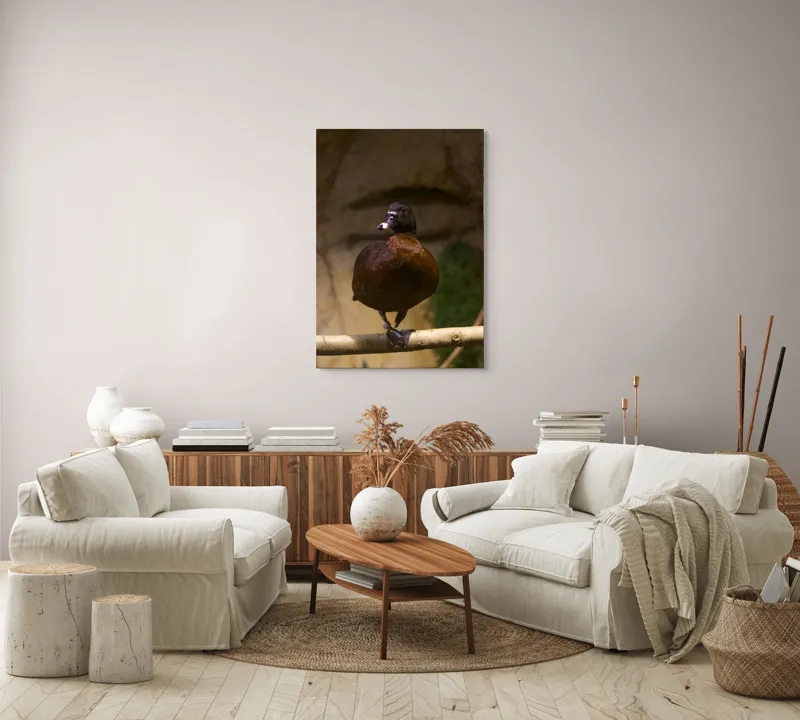 Tablou Canvas, "O rață pe o creangă uscată", Rață, Lemn, Penaj, Maro, Ochii, Strălucitori, Fundal, Natural, Postură, Echipament, 70 x 100 cm – poza 4