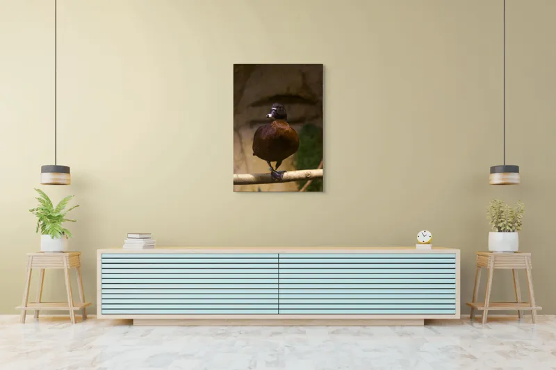Tablou Canvas, "O rață pe o creangă uscată", Rață, Lemn, Penaj, Maro, Ochii, Strălucitori, Fundal, Natural, Postură, Echipament, 70 x 100 cm – poza 5