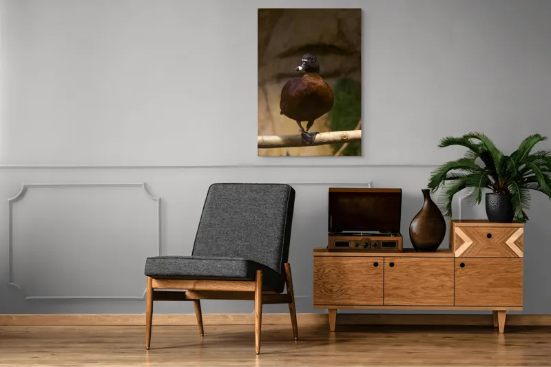 Tablou Canvas, "O rață pe o creangă uscată", Rață, Lemn, Penaj, Maro, Ochii, Strălucitori, Fundal, Natural, Postură, Echipament, 70 x 100 cm – poza 6