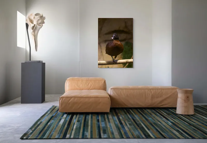 Tablou Canvas, "O rață pe o creangă uscată", Rață, Lemn, Penaj, Maro, Ochii, Strălucitori, Fundal, Natural, Postură, Echipament, 70 x 100 cm – poza 7