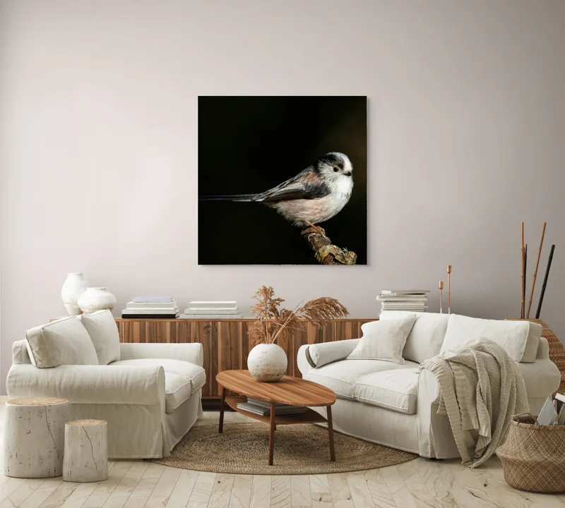 Tablou Canvas, "Mică pasăre pe o creangă uscată", Pene, Pasăre, Ramură, Întuneric, Delicat, Natură, Zbor, Contrast, Liniște, Fragilitate, 100 x 100 cm – poza 3