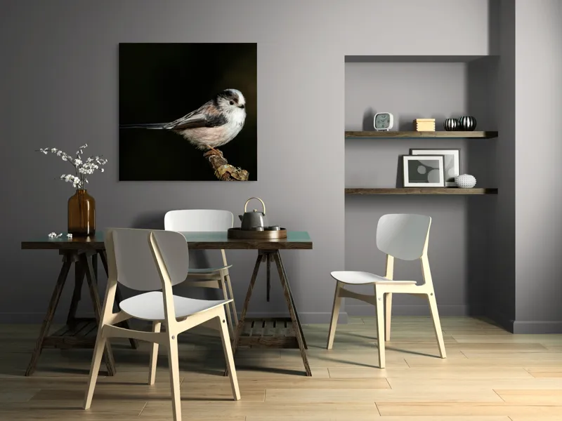 Tablou Canvas, "Mică pasăre pe o creangă uscată", Pene, Pasăre, Ramură, Întuneric, Delicat, Natură, Zbor, Contrast, Liniște, Fragilitate, 100 x 100 cm – poza 6