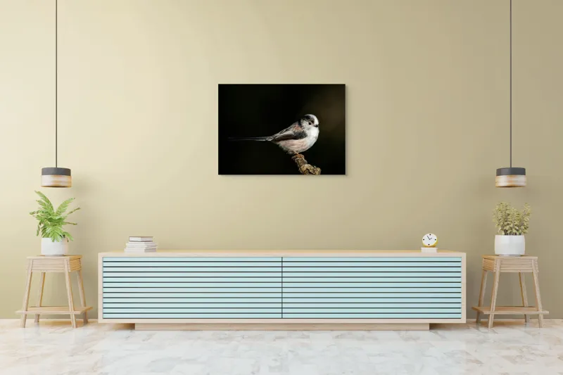 Tablou Canvas, "Mică pasăre pe o creangă uscată", Pene, Pasăre, Ramură, Întuneric, Delicat, Natură, Zbor, Contrast, Liniște, Fragilitate, 100 x 70 cm – poza 4