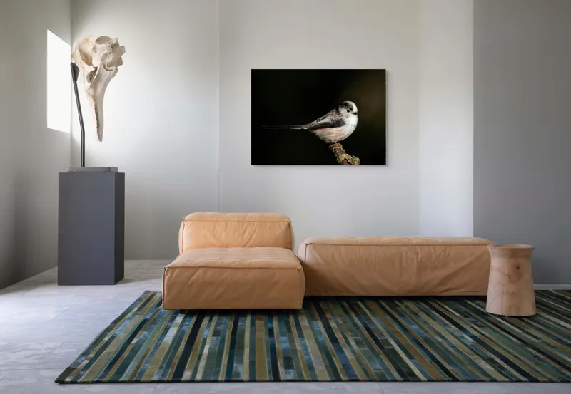 Tablou Canvas, "Mică pasăre pe o creangă uscată", Pene, Pasăre, Ramură, Întuneric, Delicat, Natură, Zbor, Contrast, Liniște, Fragilitate, 100 x 70 cm – poza 7