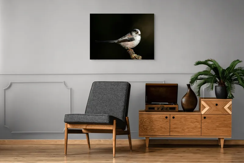 Tablou Canvas, "Mică pasăre pe o creangă uscată", Pene, Pasăre, Ramură, Întuneric, Delicat, Natură, Zbor, Contrast, Liniște, Fragilitate, 100 x 70 cm – poza 8