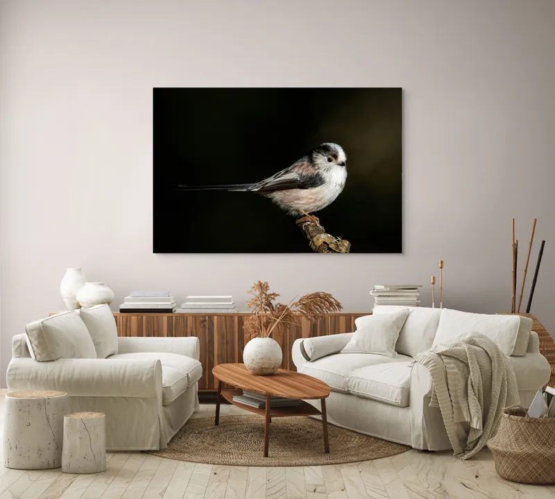 Tablou Canvas, "Mică pasăre pe o creangă uscată", Pene, Pasăre, Ramură, Întuneric, Delicat, Natură, Zbor, Contrast, Liniște, Fragilitate, 150 x 100 cm – poza 3