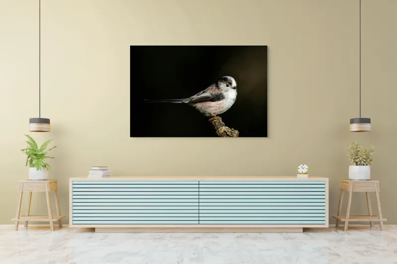 Tablou Canvas, "Mică pasăre pe o creangă uscată", Pene, Pasăre, Ramură, Întuneric, Delicat, Natură, Zbor, Contrast, Liniște, Fragilitate, 150 x 100 cm – poza 6