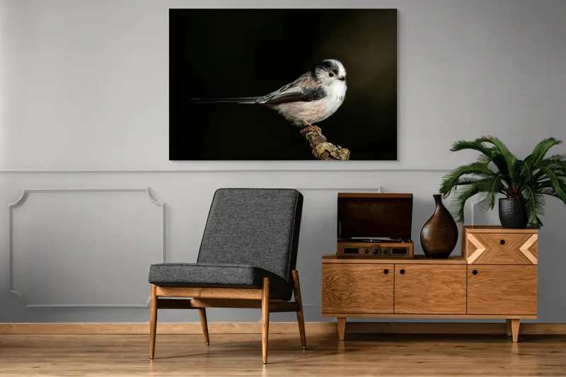 Tablou Canvas, "Mică pasăre pe o creangă uscată", Pene, Pasăre, Ramură, Întuneric, Delicat, Natură, Zbor, Contrast, Liniște, Fragilitate, 150 x 100 cm – poza 8