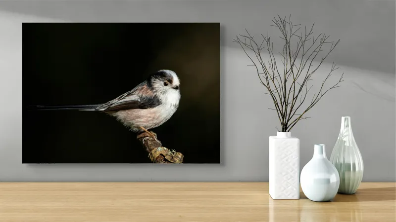 Tablou Canvas, "Mică pasăre pe o creangă uscată", Pene, Pasăre, Ramură, Întuneric, Delicat, Natură, Zbor, Contrast, Liniște, Fragilitate, 70 x 50 cm – poza 3