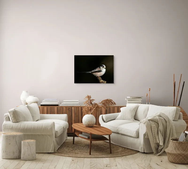 Tablou Canvas, "Mică pasăre pe o creangă uscată", Pene, Pasăre, Ramură, Întuneric, Delicat, Natură, Zbor, Contrast, Liniște, Fragilitate, 70 x 50 cm – poza 6