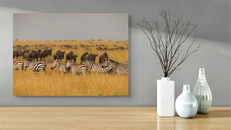 Tablou Canvas, "Migrația turmelor prin savană africană", Zebre, Gnu, Savana, Iarbă, Cer, Migrație, Turmă, Peisaj, Natură, Sălbatic., 70 x 50 cm – poza 3