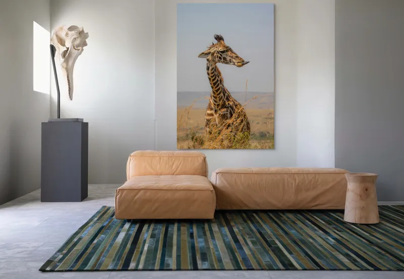 Tablou Canvas, "Ghepardul în splendoarea savanei africane", Girafă, Peisaj, Savannah, Gât Lung, Cer Albastru, Iarbă, Natură, Faună, 100 x 150 cm – poza 7