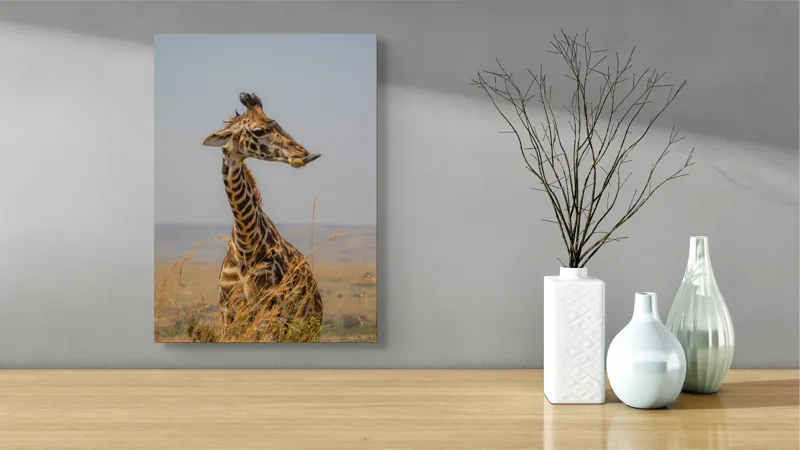 Tablou Canvas, "Ghepardul în splendoarea savanei africane", Girafă, Peisaj, Savannah, Gât Lung, Cer Albastru, Iarbă, Natură, Faună, 39 x 54 cm – poza 4