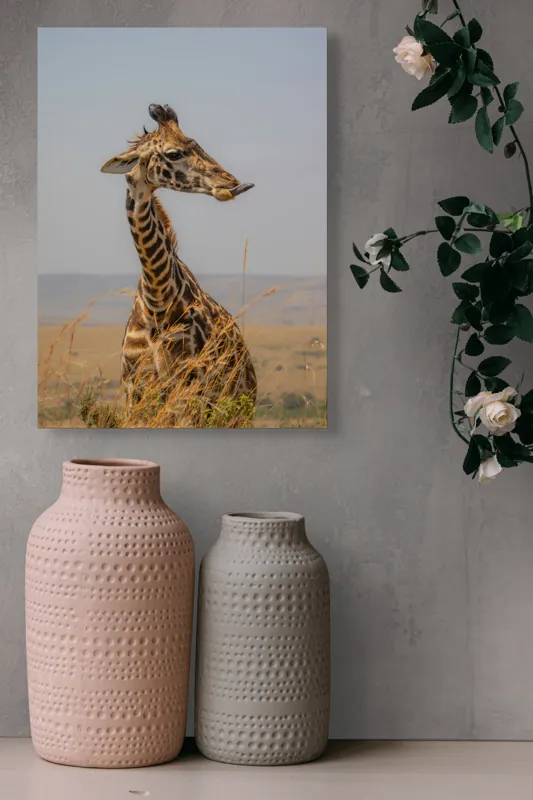 Tablou Canvas, "Ghepardul în splendoarea savanei africane", Girafă, Peisaj, Savannah, Gât Lung, Cer Albastru, Iarbă, Natură, Faună, 39 x 54 cm – poza 6
