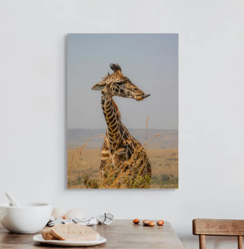 Tablou Canvas, "Ghepardul în splendoarea savanei africane", Girafă, Peisaj, Savannah, Gât Lung, Cer Albastru, Iarbă, Natură, Faună, 50 x 70 cm – poza 3