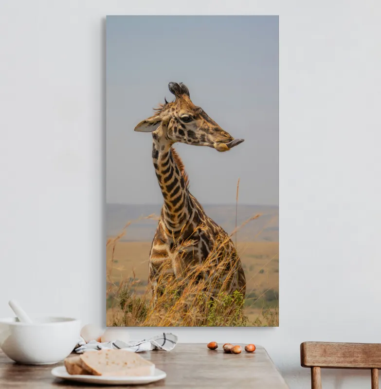 Tablou Canvas, "Ghepardul în splendoarea savanei africane", Girafă, Peisaj, Savannah, Gât Lung, Cer Albastru, Iarbă, Natură, Faună, 50 x 90 cm – poza 3