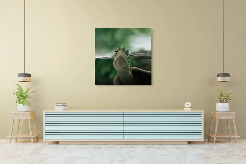 Tablou Canvas, "Privirea curioasă a broaștei țestoase", Achromatic, Curiosity, Serenity, Tranquility, Observation, Nature, Reflection, 100 x 100 cm – poza 5