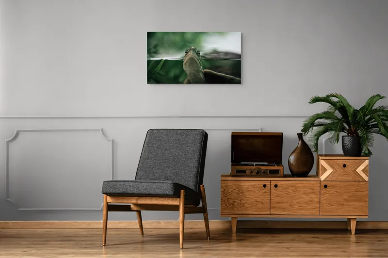 Tablou Canvas, "Privirea curioasă a broaștei țestoase", Achromatic, Curiosity, Serenity, Tranquility, Observation, Nature, Reflection, 90 x 50 cm – poza 6