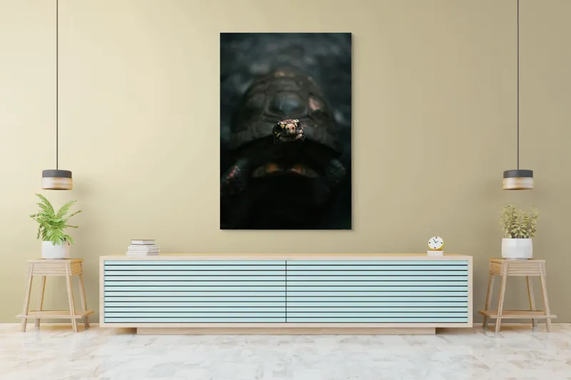 Tablou Canvas, "Broasca țestoasă în lumina umbrelor", Testoasă, Întuneric, Gri, Claritate, Privire, Natură, Detalii, Liniște, Textură, Contrast, 100 x 150 cm – poza 4