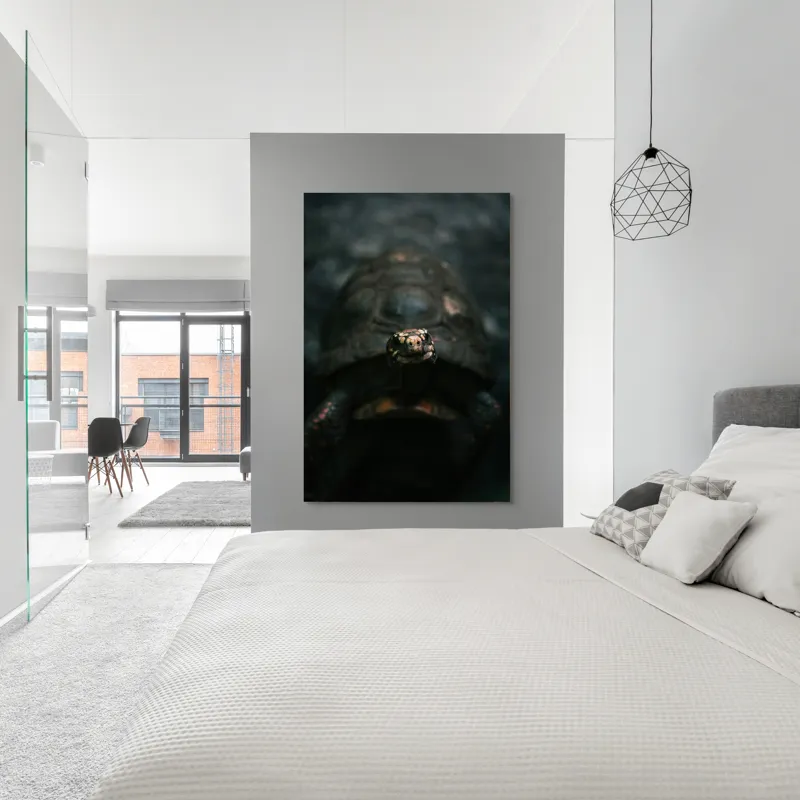 Tablou Canvas, "Broasca țestoasă în lumina umbrelor", Testoasă, Întuneric, Gri, Claritate, Privire, Natură, Detalii, Liniște, Textură, Contrast, 100 x 150 cm – poza 5