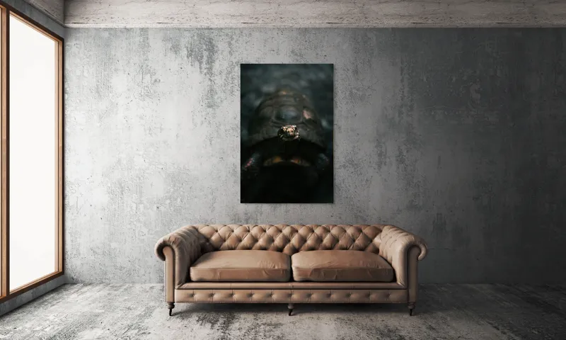 Tablou Canvas, "Broasca țestoasă în lumina umbrelor", Testoasă, Întuneric, Gri, Claritate, Privire, Natură, Detalii, Liniște, Textură, Contrast, 100 x 150 cm – poza 6