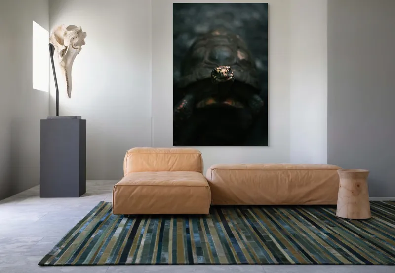 Tablou Canvas, "Broasca țestoasă în lumina umbrelor", Testoasă, Întuneric, Gri, Claritate, Privire, Natură, Detalii, Liniște, Textură, Contrast, 100 x 150 cm – poza 7