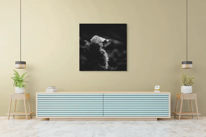 Tablou Canvas, "Vulturul în umbra tăcerii negre", Majestic, Solitary, Noble, Mysterious, Regal, 100 x 100 cm – poza 5
