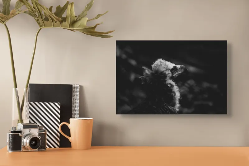 Tablou Canvas, "Vulturul în umbra tăcerii negre", Majestic, Solitary, Noble, Mysterious, Regal, 39 x 26 cm – poza 3
