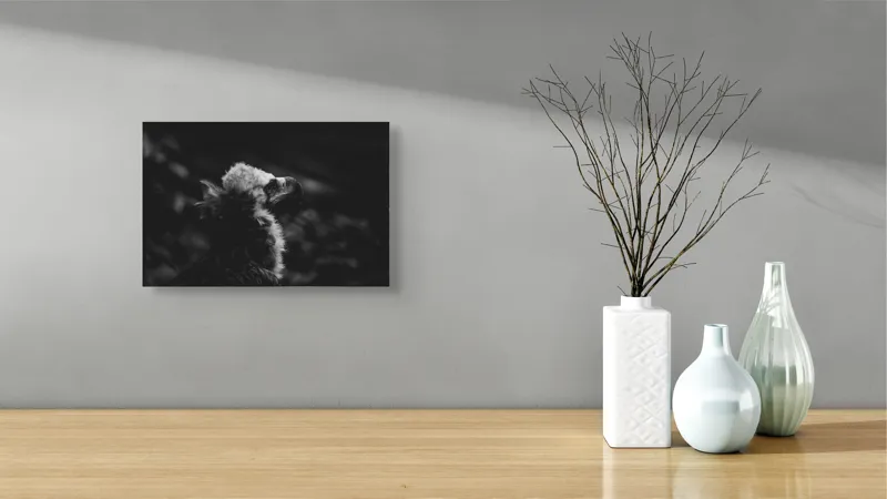 Tablou Canvas, "Vulturul în umbra tăcerii negre", Majestic, Solitary, Noble, Mysterious, Regal, 39 x 26 cm – poza 8