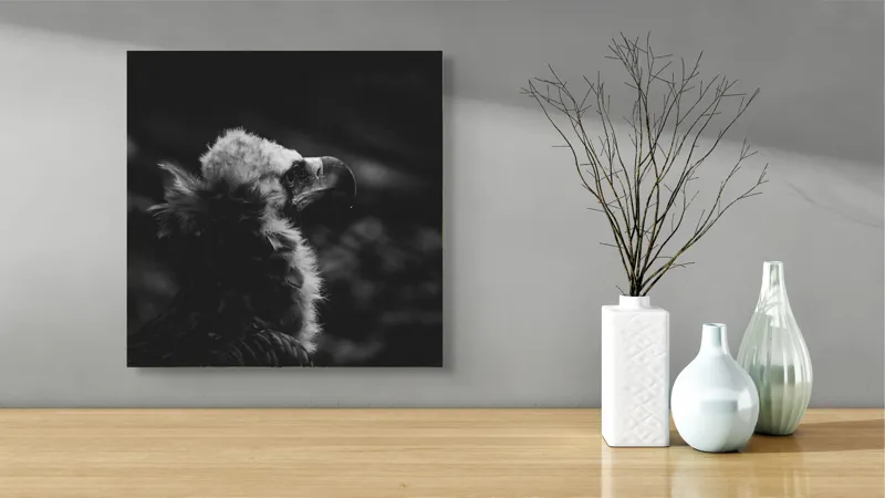 Tablou Canvas, "Vulturul în umbra tăcerii negre", Majestic, Solitary, Noble, Mysterious, Regal, 50 x 50 cm – poza 3
